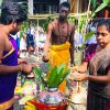 තෛපොංගල් උත්සවය 2020